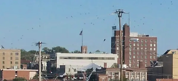 Downtown Columbia, Missouri, skyline on a clear day