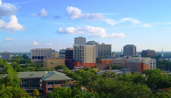 Downtown Tallahassee, Florida, skyline above the tree canopy