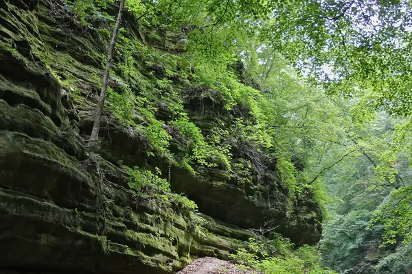 Moss-covered sandstone walls of Illinois Canyon in north-central Illinois